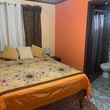 Monteverde Monkey Hostel エクステリア 写真