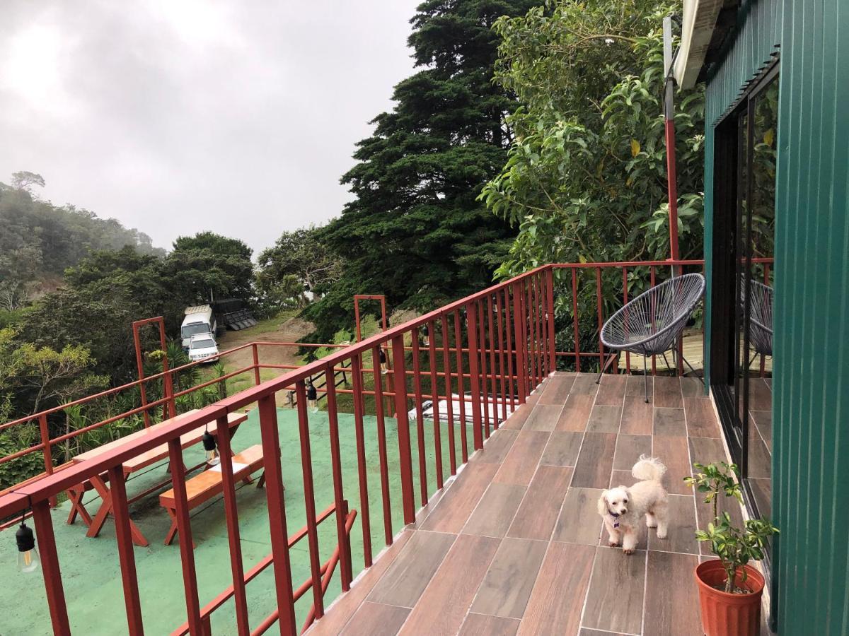 Monteverde Monkey Hostel エクステリア 写真