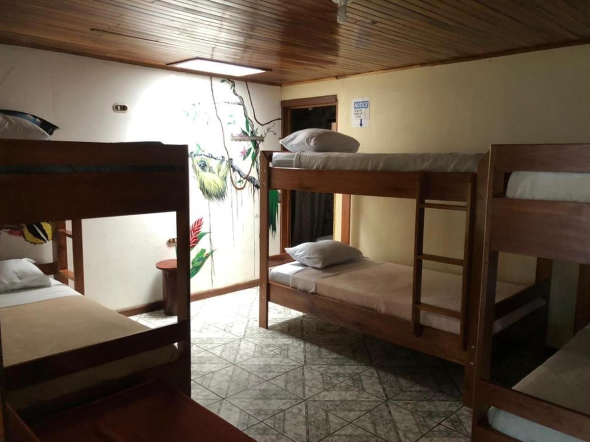 Monteverde Monkey Hostel エクステリア 写真