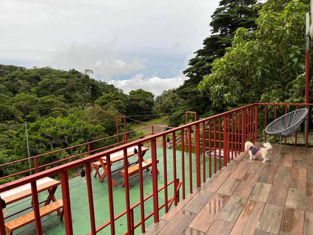 Monteverde Monkey Hostel エクステリア 写真