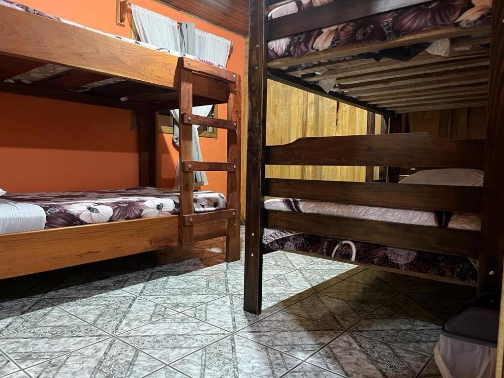 Monteverde Monkey Hostel エクステリア 写真