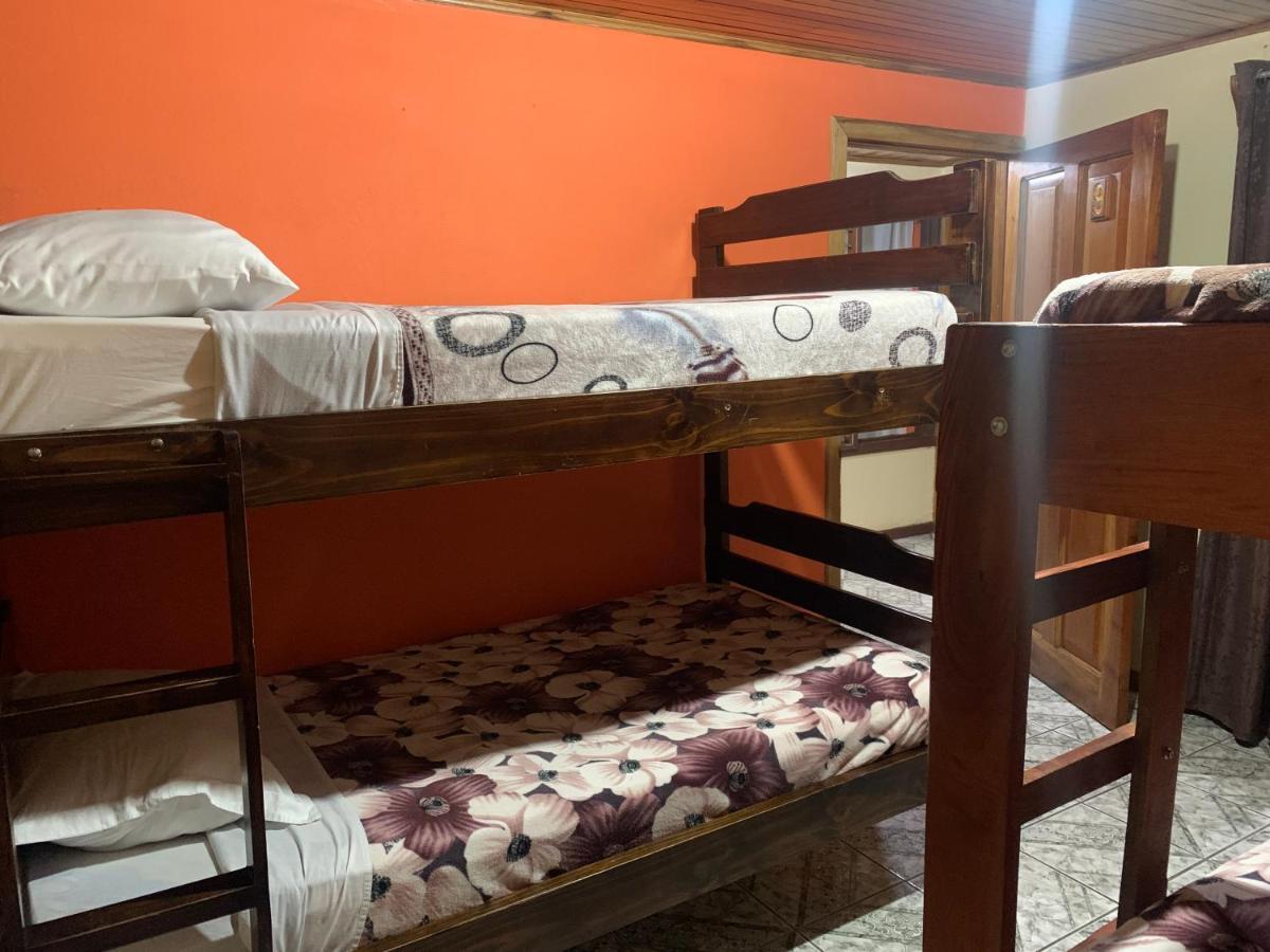 Monteverde Monkey Hostel エクステリア 写真