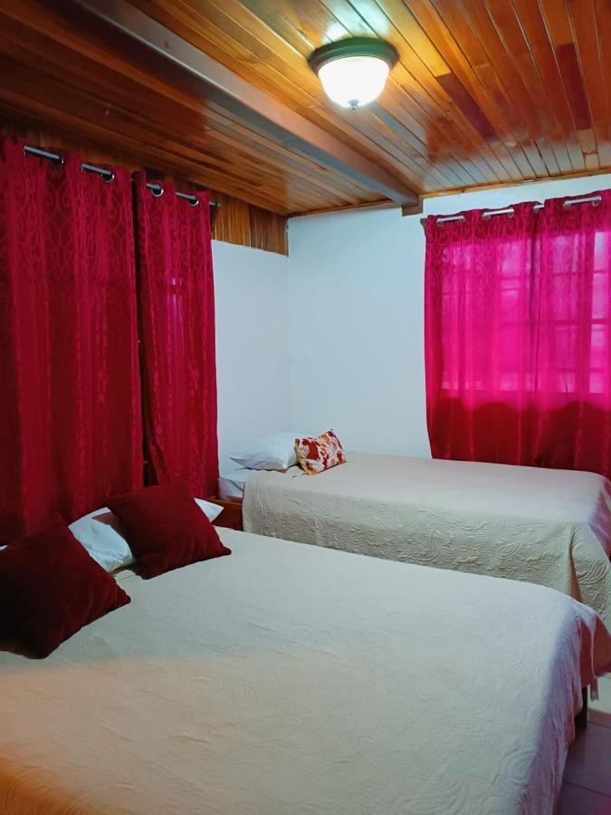 Monteverde Monkey Hostel エクステリア 写真