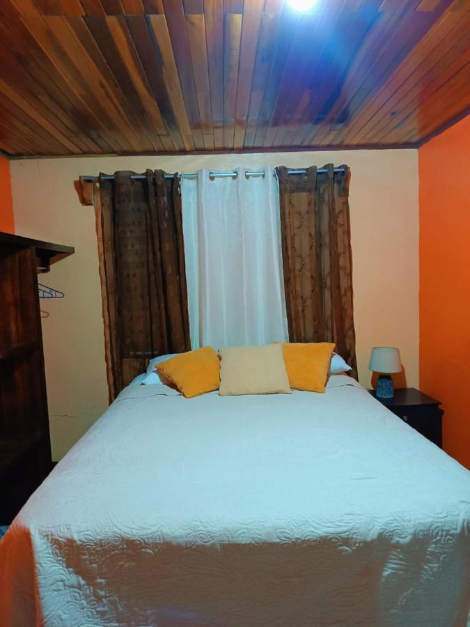 Monteverde Monkey Hostel エクステリア 写真