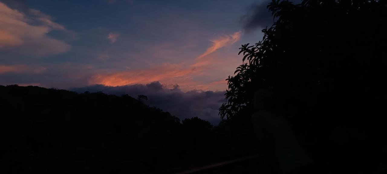 Monteverde Monkey Hostel エクステリア 写真